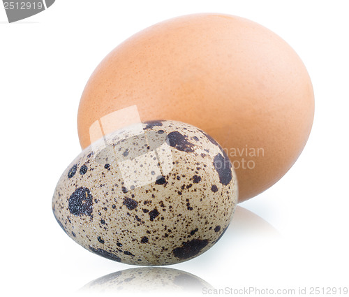 Image of quail and hen's eggs on white background 