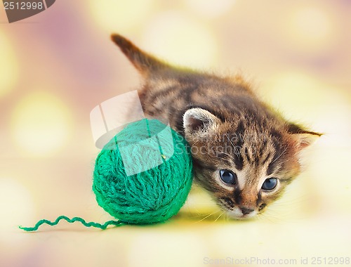 Image of little kitten playing with a ball