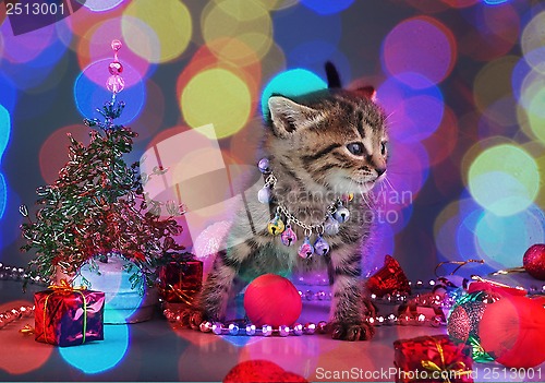 Image of small  kitten among Christmas stuff