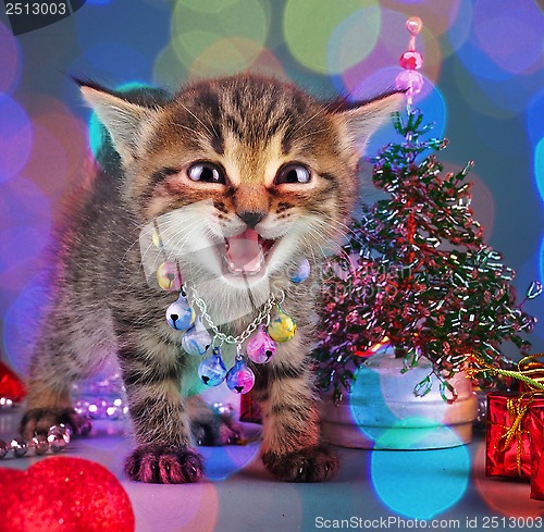 Image of small  kitten among Christmas stuff