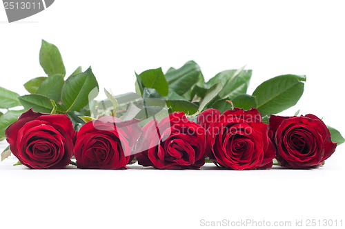 Image of Red roses