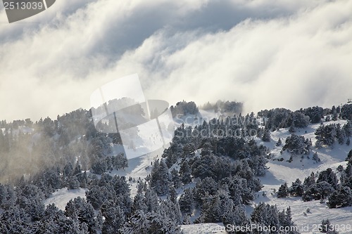 Image of Skiing