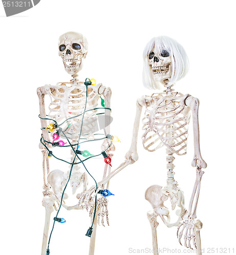 Image of Captive Christmas Skeleton