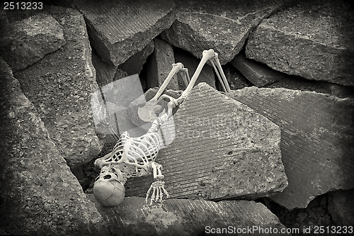 Image of Apocalypse Skeleton