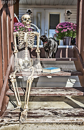 Image of Backstep Skeleton & Black Cat