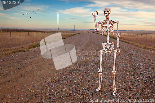 Image of Country Roads Skeleton