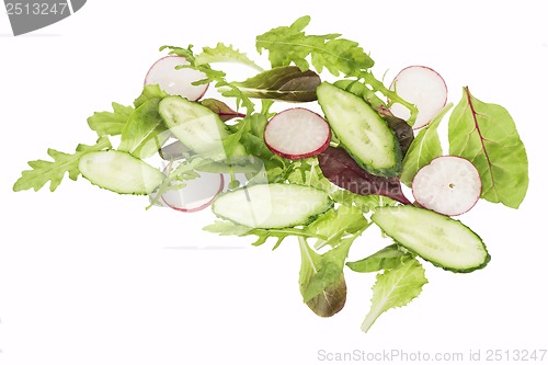 Image of cut cucumbers, garden radish and lettuce leaves