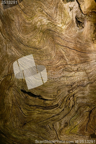 Image of Wood Texture