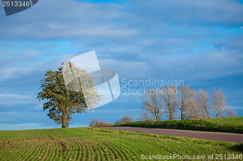 Image of beautiful landscape of green farmland and blue sky