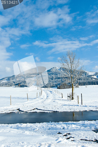 Image of beautiful sunny landscape in winter with blue sky