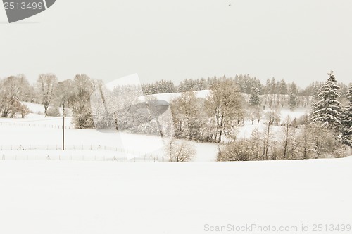 Image of forest and field  winter landscape