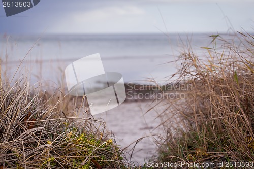 Image of beautiful landscape dunes baltic sea in autumn winter