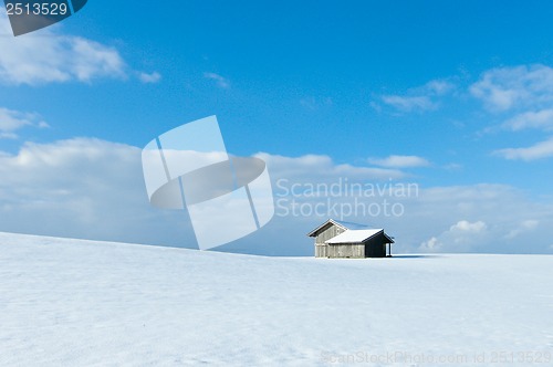 Image of beautiful sunny landscape in winter with blue sky