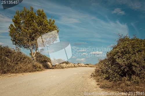 Image of empty road in sunlight blue sky destination