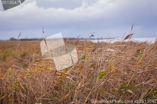 Image of beautiful landscape dunes baltic sea in autumn winter