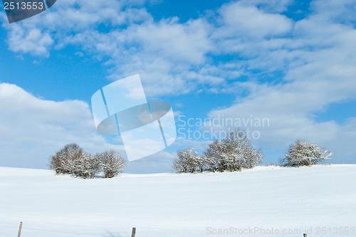 Image of beautiful sunny landscape in winter with blue sky