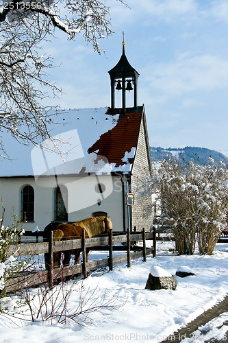 Image of forest and field  winter landscape