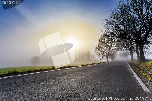 Image of rural foggy road going to the sunrise