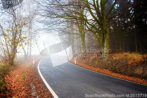 Image of Road going in to the fog 