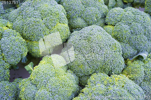 Image of Broccoli