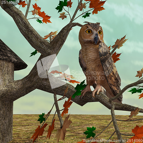Image of Autumn Owl