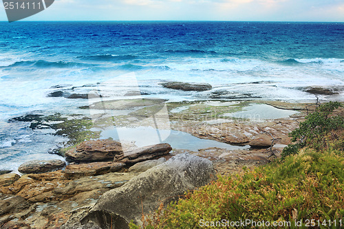 Image of Tidal rocks Tamarama