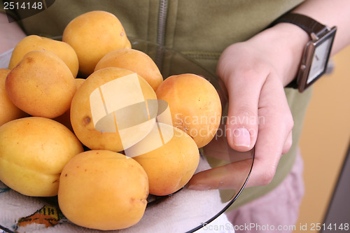 Image of Organic apricots