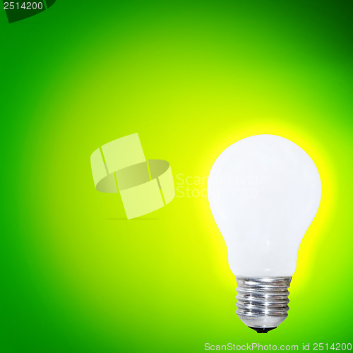 Image of White bulb