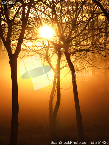 Image of Mystical sunrise