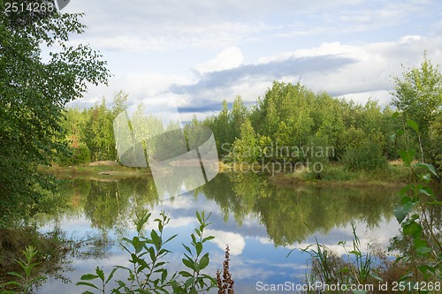 Image of A walk on a summer morning in the forest lake.