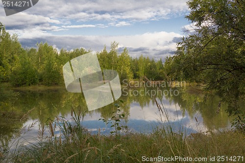 Image of A walk on a summer morning in the forest lake.