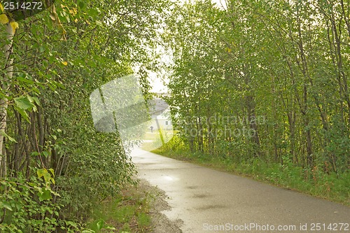 Image of Treadmill in a wooded area near the lake