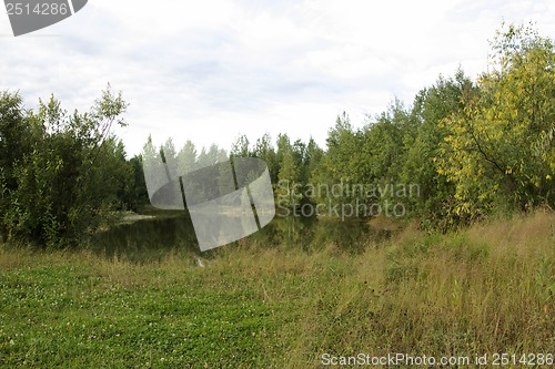 Image of A walk on a summer morning in the forest lake.