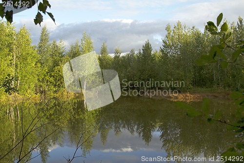 Image of A walk on a summer morning in the forest lake.