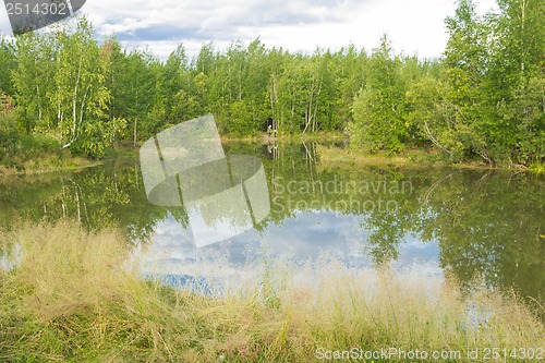Image of A walk on a summer morning in the forest lake.