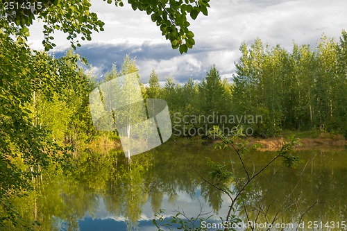 Image of A walk on a summer morning in the forest lake.
