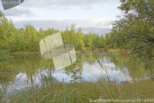 Image of A walk on a summer morning in the forest lake.