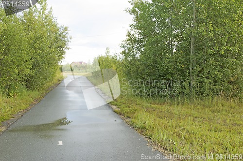 Image of Treadmill in a wooded area near the lake