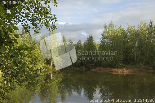 Image of A walk on a summer morning in the forest lake.