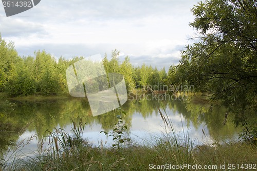 Image of A walk on a summer morning in the forest lake.