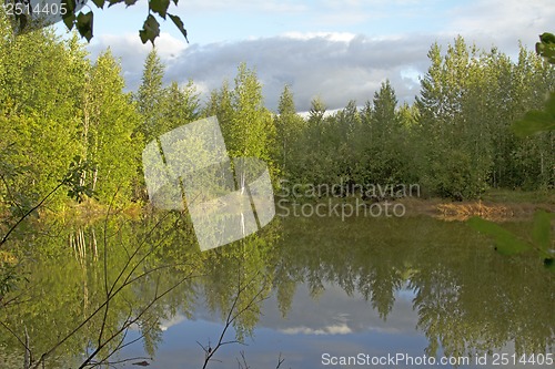 Image of A walk on a summer morning in the forest lake.