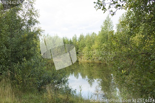 Image of A walk on a summer morning in the forest lake.