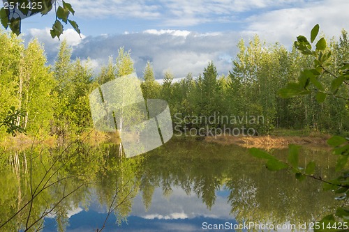 Image of A walk on a summer morning in the forest lake.