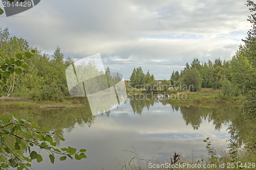 Image of A walk on a summer morning in the forest lake.