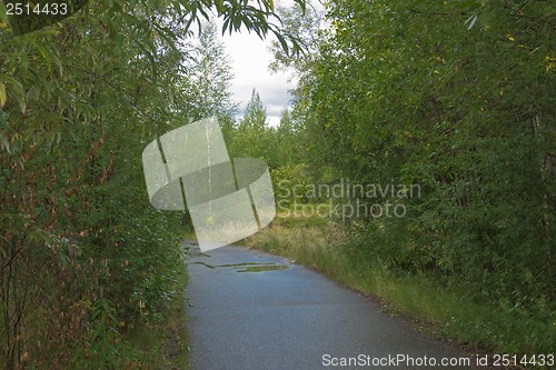 Image of Treadmill in a wooded area near the lake