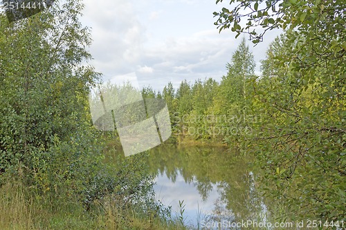 Image of A walk on a summer morning in the forest lake.