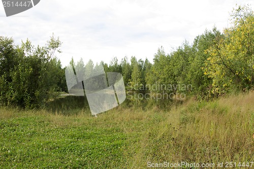 Image of A walk on a summer morning in the forest lake.