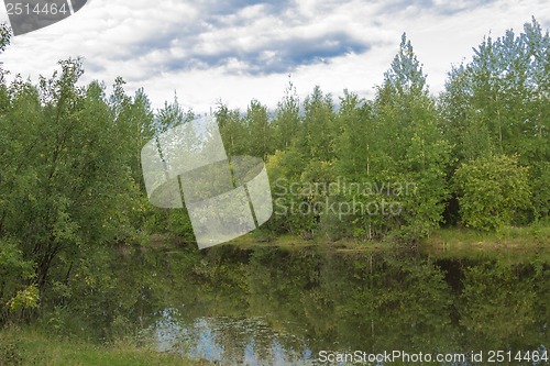 Image of A walk on a summer morning in the forest lake.