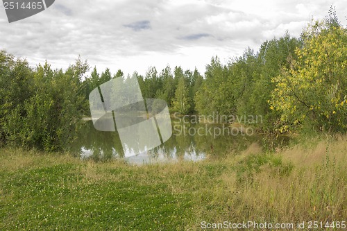 Image of A walk on a summer morning in the forest lake.