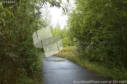 Image of Treadmill in a wooded area near the lake